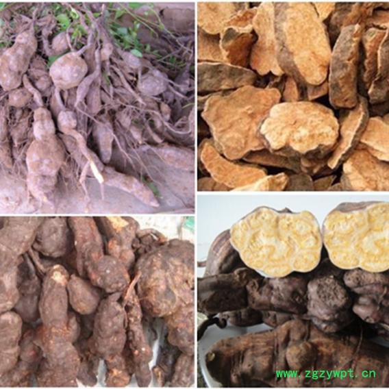 分体式中药材何首乌烘干机图6