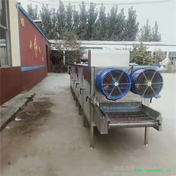 鼎鸿牌HG-4/3 网带式桂圆干烘干机 全自动中草药烘干箱 芒果干菠萝干烘干机 **图7