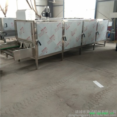 鼎鸿牌HG-4/3 网带式桂圆干烘干机 全自动中草药烘干箱 芒果干菠萝干烘干机 **