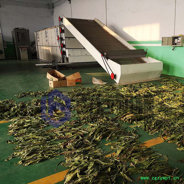 多种可用中药材烘干机    大型中药材烘干机 连续多层带式药材干燥机 食品烘干机图3