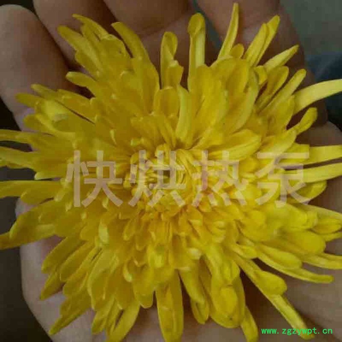 快烘热泵KH-HGJ06HP 罗汉果烘干机 药材烘干机 无花果烘干设备 **图3