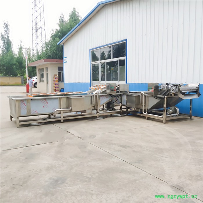 不锈钢苹果气泡清洗机 中药材洗泥除杂机 酱腌菜脱盐设备图5