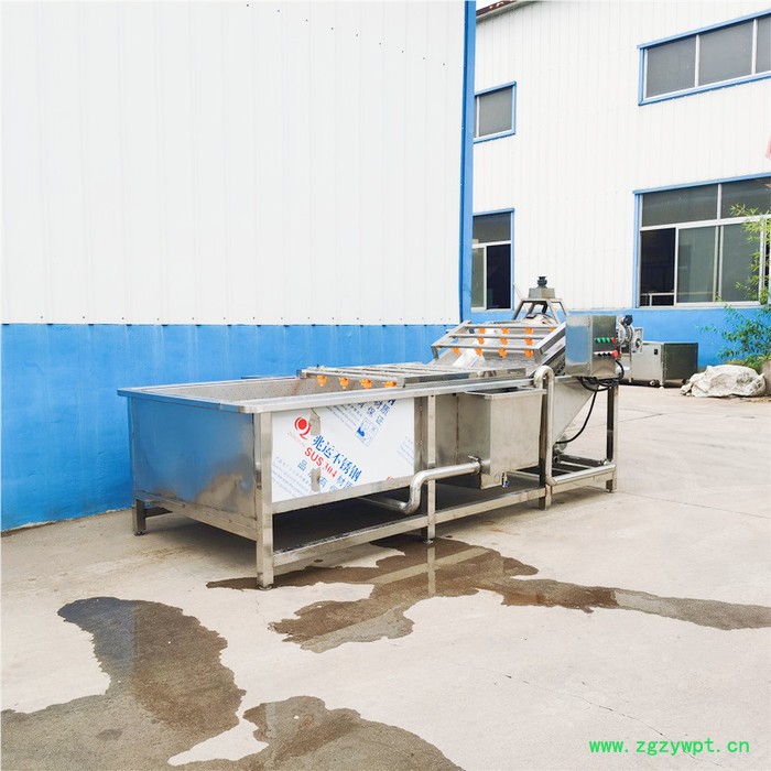不锈钢苹果气泡清洗机 中药材洗泥除杂机 酱腌菜脱盐设备图7