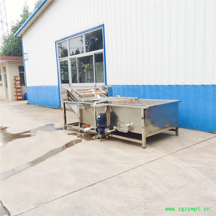 不锈钢苹果气泡清洗机 中药材洗泥除杂机 酱腌菜脱盐设备图2