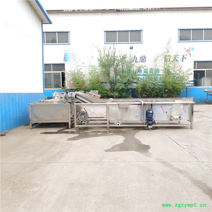 不锈钢苹果气泡清洗机 中药材洗泥除杂机 酱腌菜脱盐设备图6