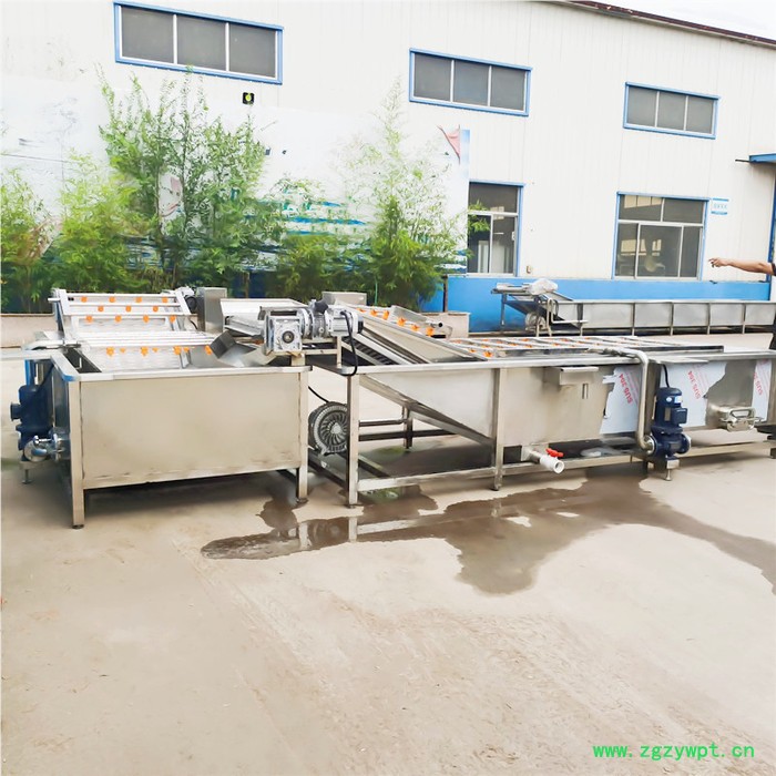 不锈钢苹果气泡清洗机 中药材洗泥除杂机 酱腌菜脱盐设备图3