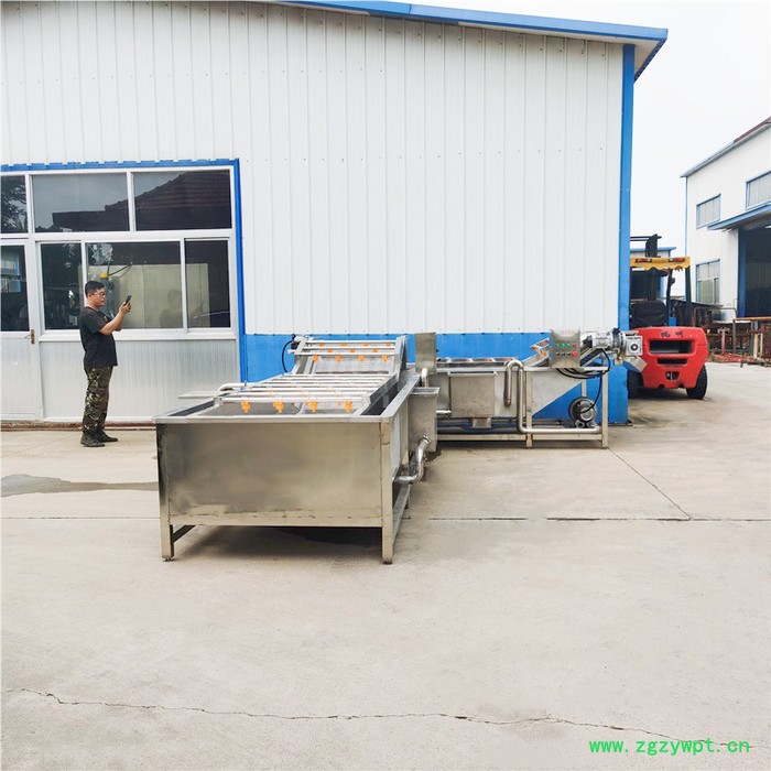 不锈钢苹果气泡清洗机 中药材洗泥除杂机 酱腌菜脱盐设备图8