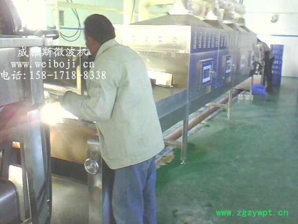 威雅斯隧道式颗粒药烘干机图2