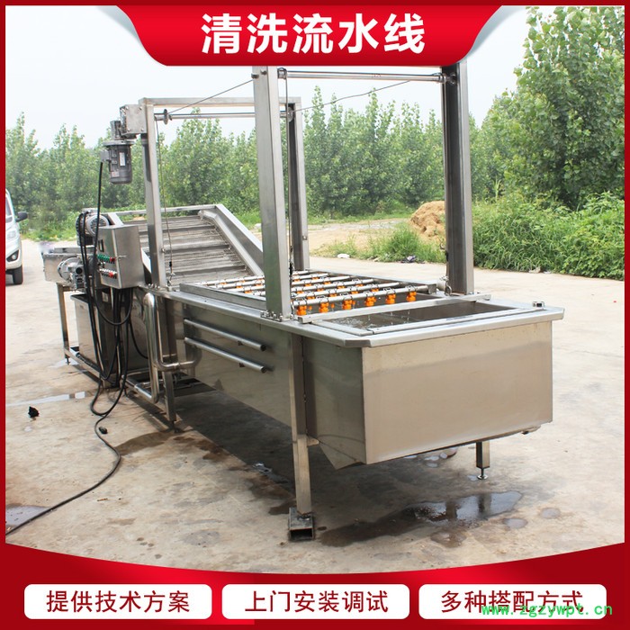 链板式枸杞清洗机 当归大枣气泡清洗机 中药材清洗加工设备图6