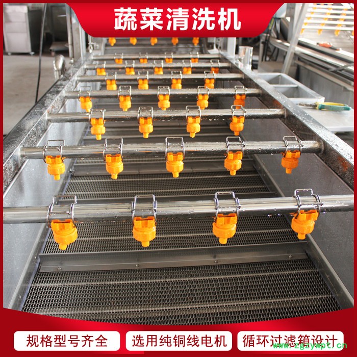 链板式枸杞清洗机 当归大枣气泡清洗机 中药材清洗加工设备图2