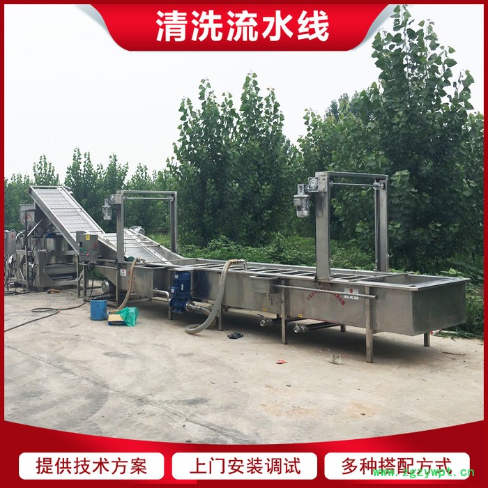 链板式枸杞清洗机 当归大枣气泡清洗机 中药材清洗加工设备图8