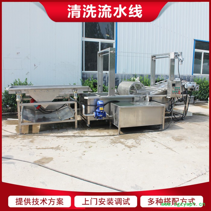 链板式枸杞清洗机 当归大枣气泡清洗机 中药材清洗加工设备图3