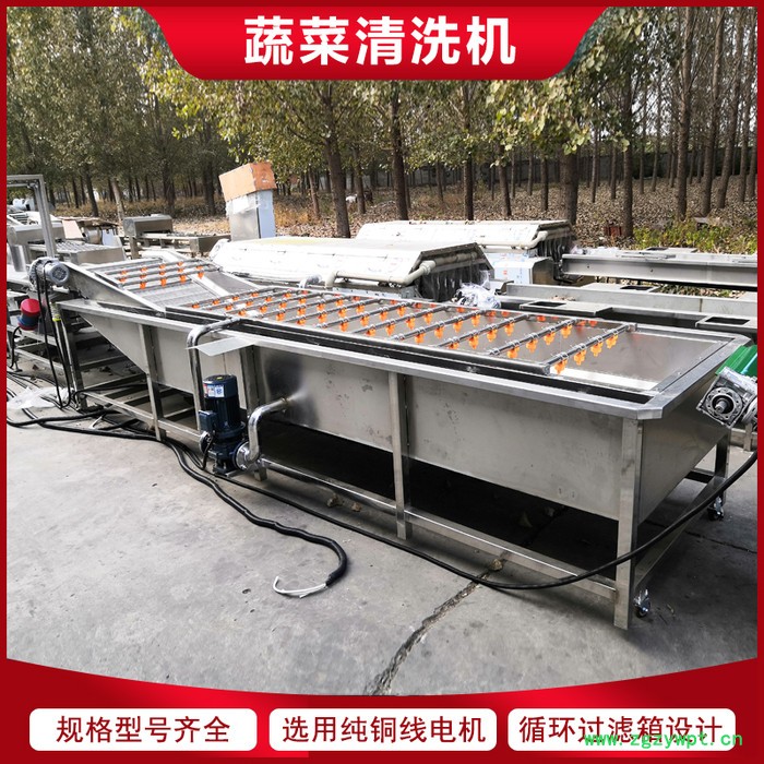 链板式枸杞清洗机 当归大枣气泡清洗机 中药材清洗加工设备图4