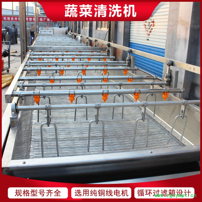 链板式枸杞清洗机 当归大枣气泡清洗机 中药材清洗加工设备图7