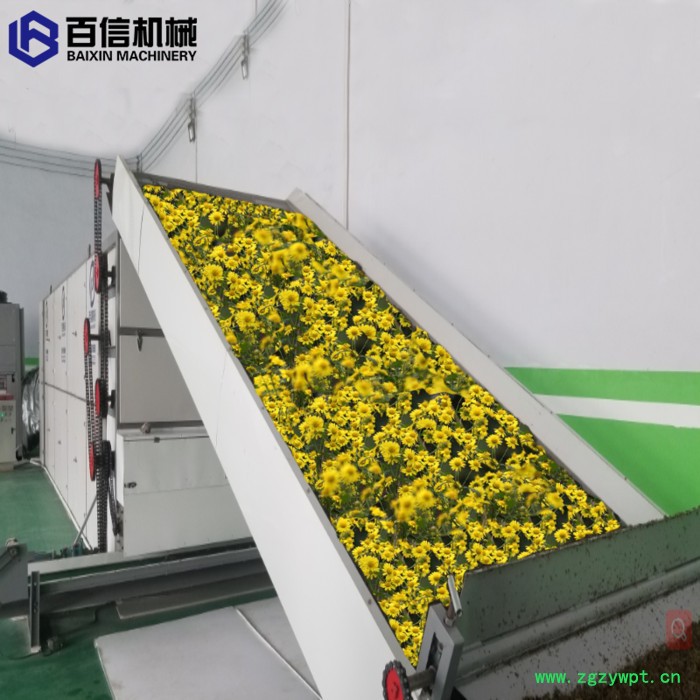 河南百信中药材烘干机  网带式中药材烘干机     大型烘干机厂家价格图3
