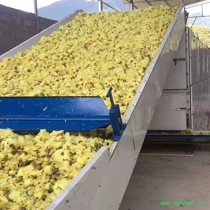 衡泰祥药材烘干机 油茶果烘干机批发图5