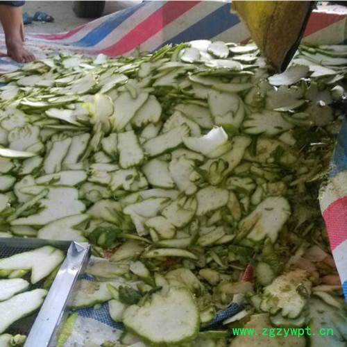 佛手烘干机 易立诺佛手瓜烘干机 药瓜烘干设备 **图4