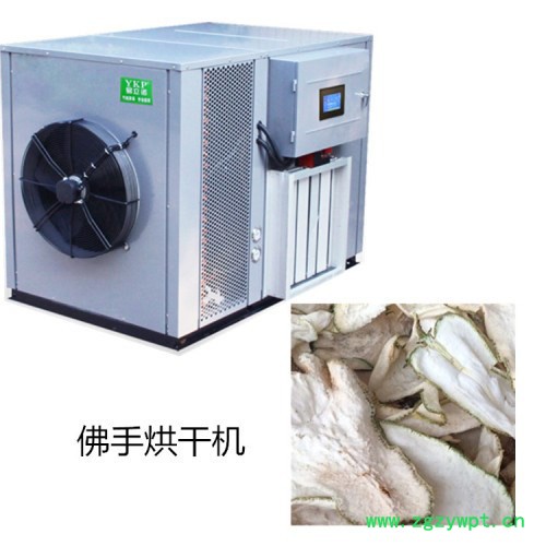 佛手烘干机 易立诺佛手瓜烘干机 药瓜烘干设备 **图5