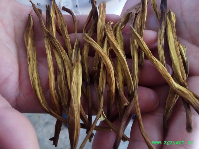 供应智能中药材烘干机_无污染中药材烘干机 热泵烘干机图2