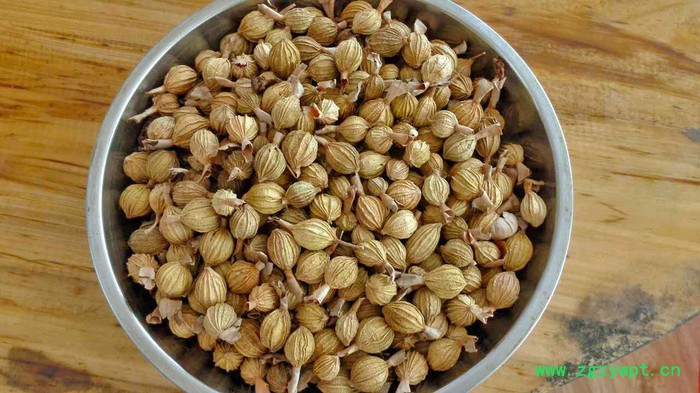 KN-145RD 香砂烘干机 药材烘干机厂家执行价格优惠图2