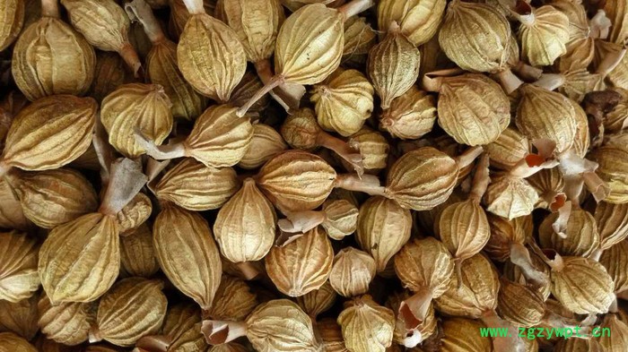 KN-145RD 香砂烘干机 药材烘干机厂家执行价格优惠图3