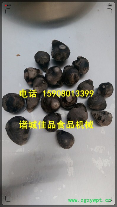 药材清洗机_药材去皮机价格_**药材清洗设备 佳品食品机械**图2