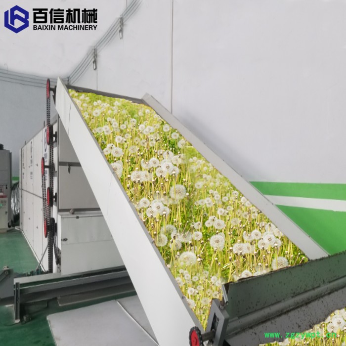 百信中药材烘干机    中药材脱水设备  网带式中药材烘干机  大型烘干机图5