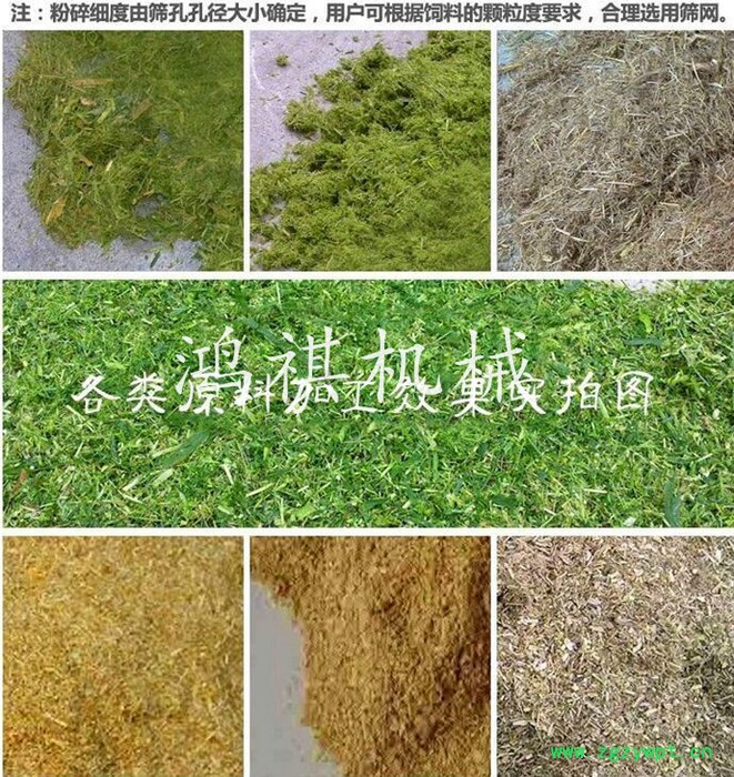 自动进料粉碎机 中草药粉碎机型号 玉米秸秆粉碎机 鸿祺稻草粉碎机图6