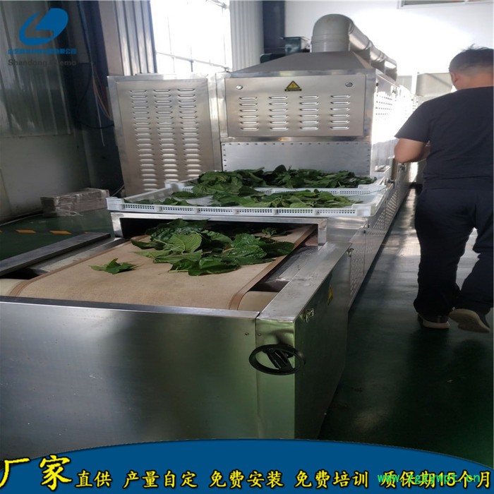 安徽中药材穿透式微波干燥设备 博州中草药微波烘干灭菌设备