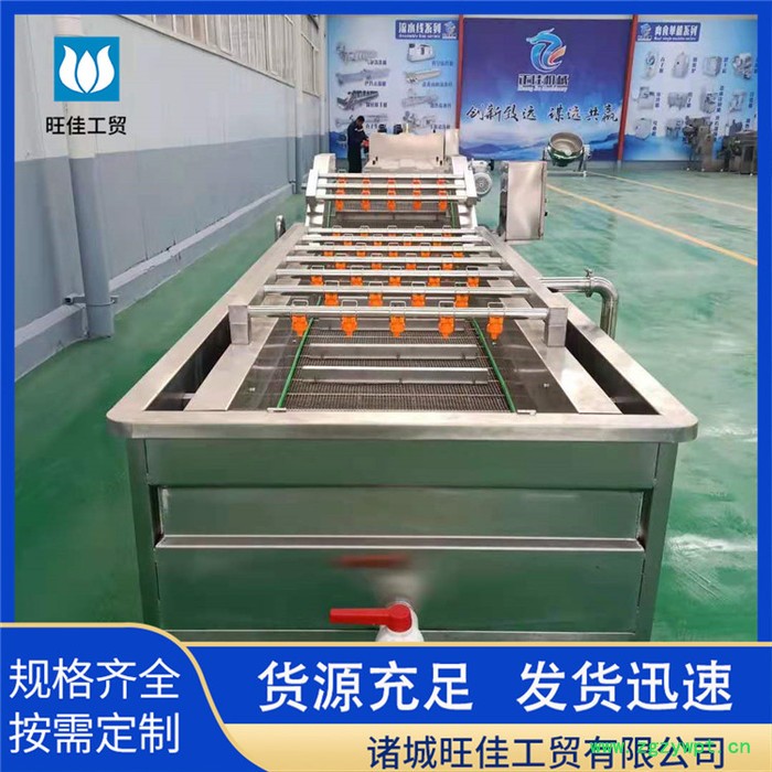 韭菜清洗机 药材清洗机 净菜清洗加工设备图4