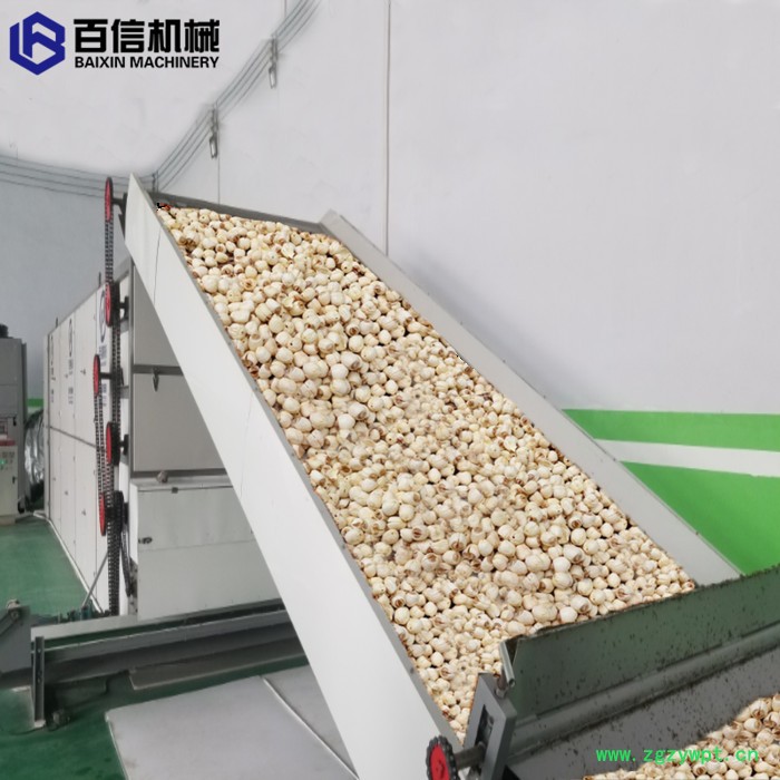 黄柏烘干机 带式川黄柏烘干设备  中药材干燥设备厂家图2