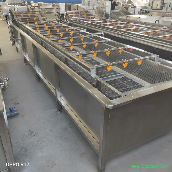 景翔牌 QX-4000药材清洗机 水果气泡清洗机 喷淋式洗叶菜设备图7