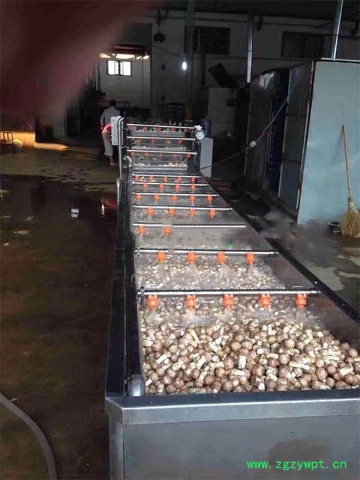 景翔牌 QX-4000药材清洗机 水果气泡清洗机 喷淋式洗叶菜设备图3