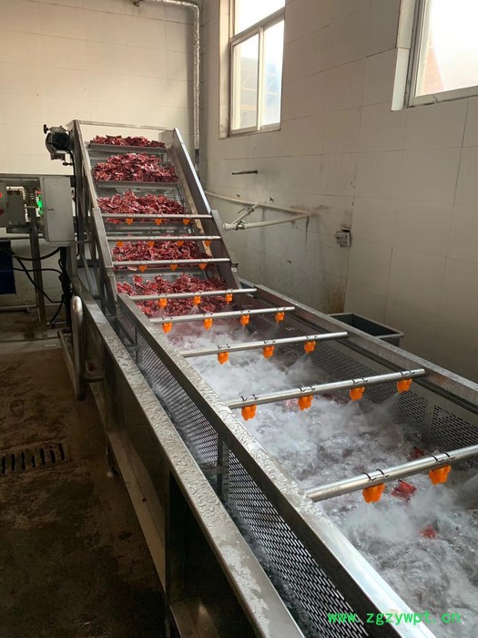 景翔牌 QX-4000药材清洗机 水果气泡清洗机 喷淋式洗叶菜设备图6