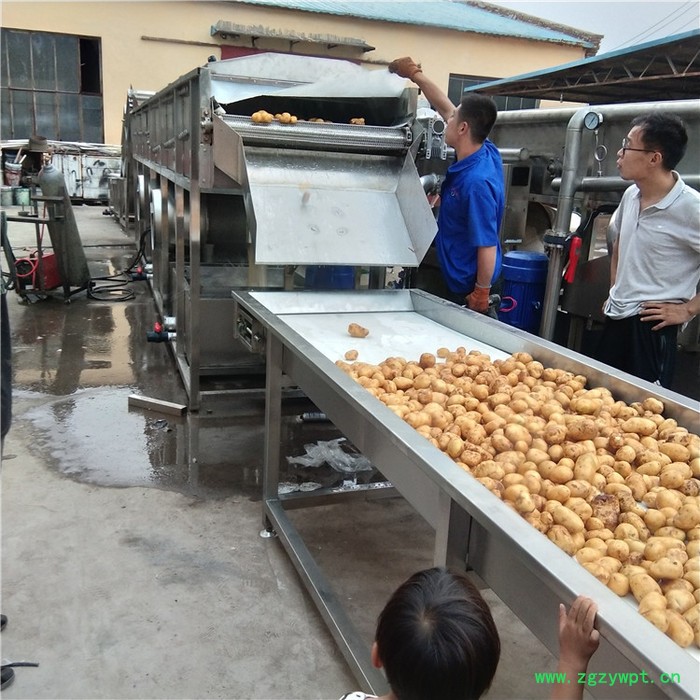 景翔牌药材清洗机 QX-4000型洗蔬菜设备 苹果气泡清洗机 橘子喷淋清洗机图5