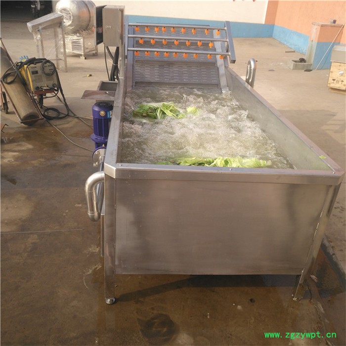 景翔牌药材清洗机 QX-4000型洗蔬菜设备 苹果气泡清洗机 橘子喷淋清洗机图8