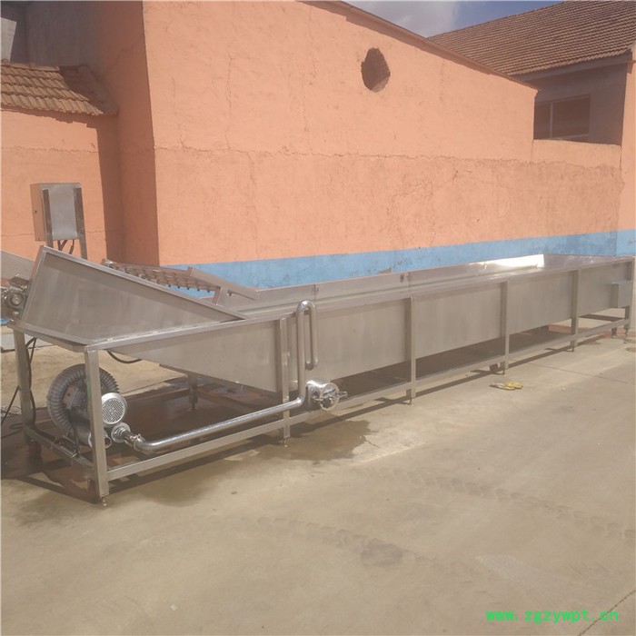 景翔牌药材清洗机 QX-4000型洗蔬菜设备 苹果气泡清洗机 橘子喷淋清洗机图2