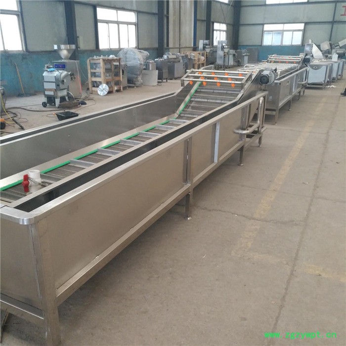 景翔牌药材清洗机 QX-4000型洗蔬菜设备 苹果气泡清洗机 橘子喷淋清洗机图3