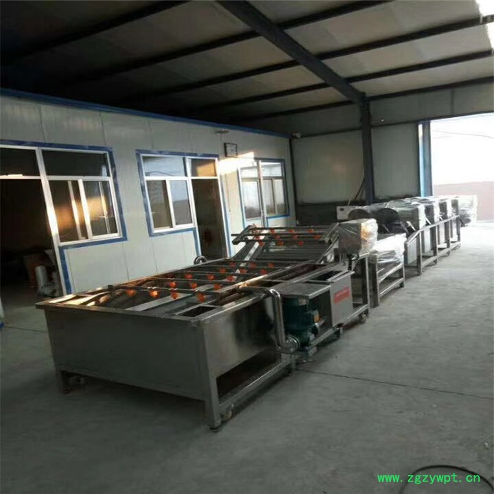 厂家供应果蔬清洗机 水果清洗机 气泡喷淋式药材清洗机 净菜清洗设备图6