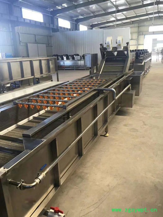 厂家供应果蔬清洗机 水果清洗机 气泡喷淋式药材清洗机 净菜清洗设备图7