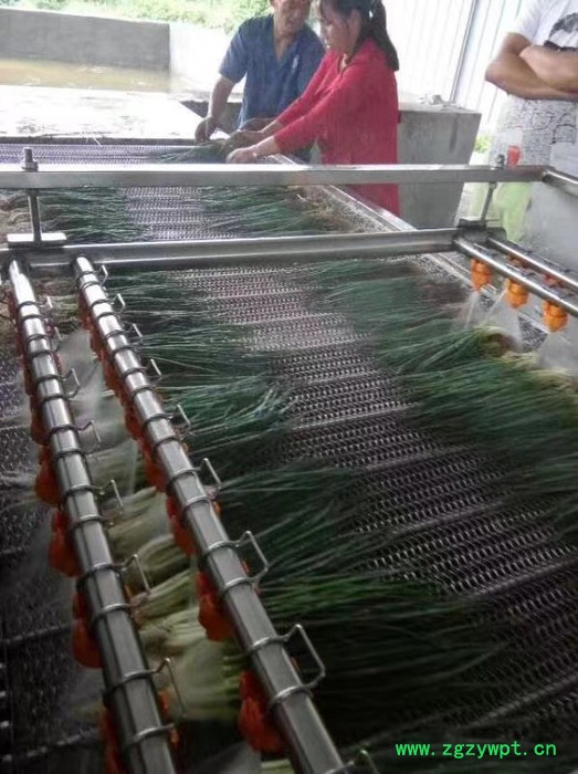 厂家供应果蔬清洗机 水果清洗机 气泡喷淋式药材清洗机 净菜清洗设备图4