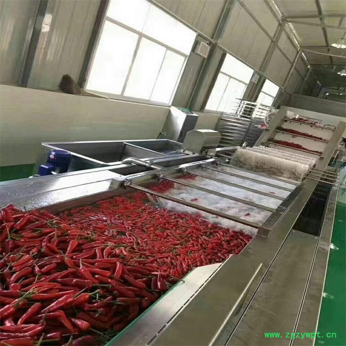 厂家供应果蔬清洗机 水果清洗机 气泡喷淋式药材清洗机 净菜清洗设备图5