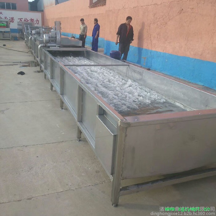 鼎鸿QX-3000型净菜加工设备 叶菜清洗机 山野菜清洗机 芥菜清洗流水线 药材清洗设备 全自动洗菜机图2