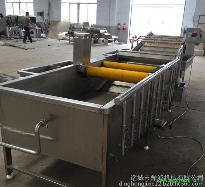 鼎鸿QX-3000型净菜加工设备 叶菜清洗机 山野菜清洗机 芥菜清洗流水线 药材清洗设备 全自动洗菜机图3