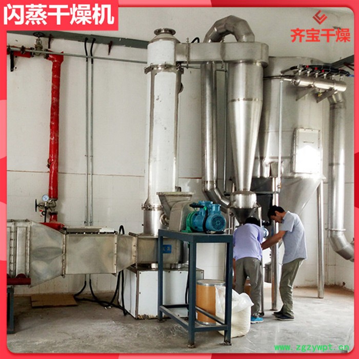 大型闪蒸干燥机配套燃煤热风炉 城市污泥闪蒸式干燥器 农药烘干机 染料干燥机图2