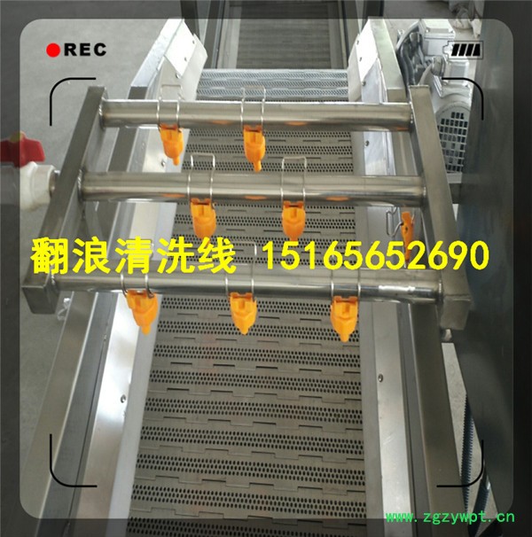 山东佳品机械中草药全自动清洗流水线，清洗风干设备 果蔬加工设备 药材清洗机图2