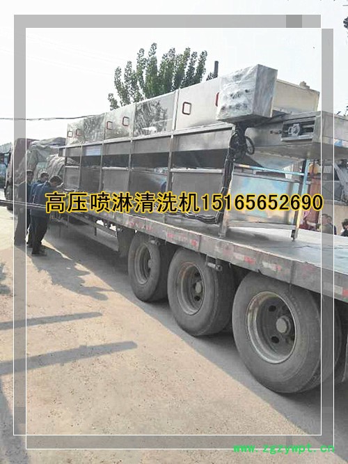 山东佳品机械中草药全自动清洗流水线，清洗风干设备 果蔬加工设备 药材清洗机图5