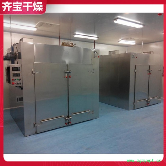 常州电热烘箱厂家 鸭肉干燥机 鱼虾烘干机 热风循环药材干燥箱图5