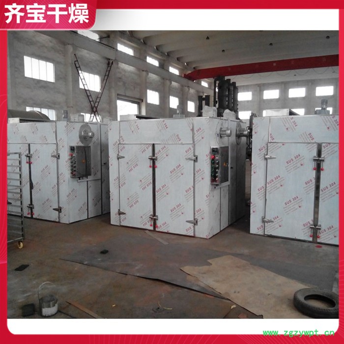 常州电热烘箱厂家 鸭肉干燥机 鱼虾烘干机 热风循环药材干燥箱图4