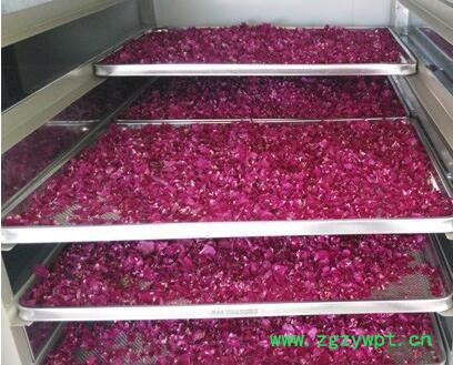 汇海多种型号 大型多层烘干机 玉米烘干机 中草药烘干机 玫瑰花烘干机图4